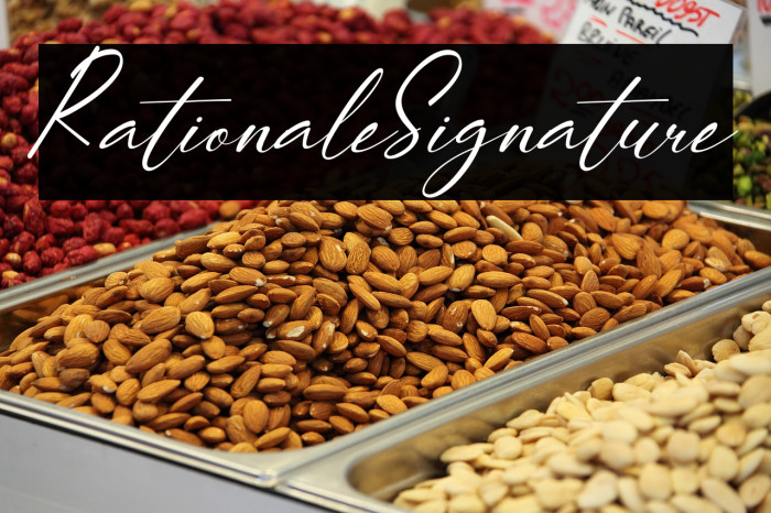 RationaleSignature Example 3