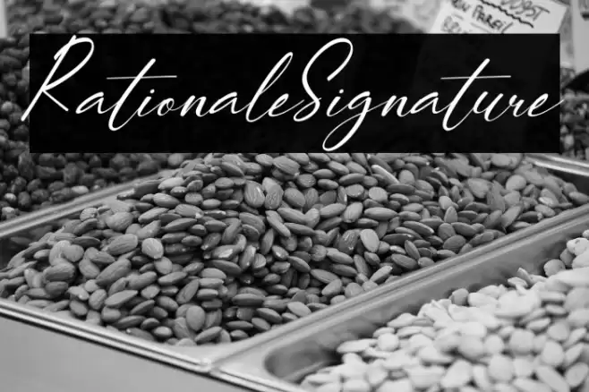 RationaleSignature خط examples