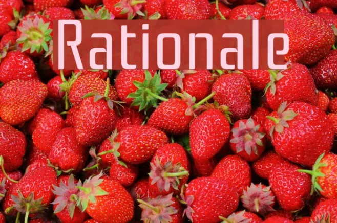 Rationale Example 1