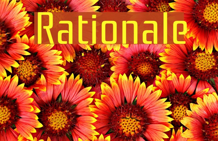 Rationale Font examples