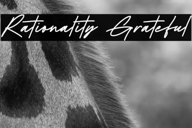 Rationality Grateful Schriftart examples