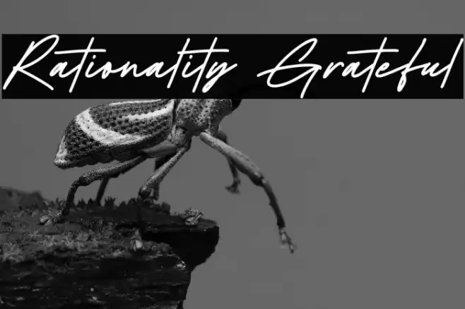 Rationality Grateful Schriftart examples