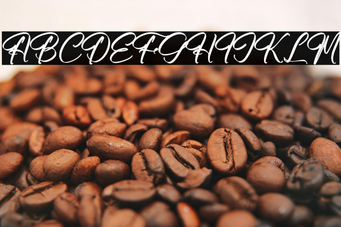 Ratmosh Delliot Example 2