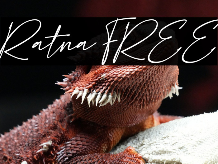 Ratna FREE Example 1