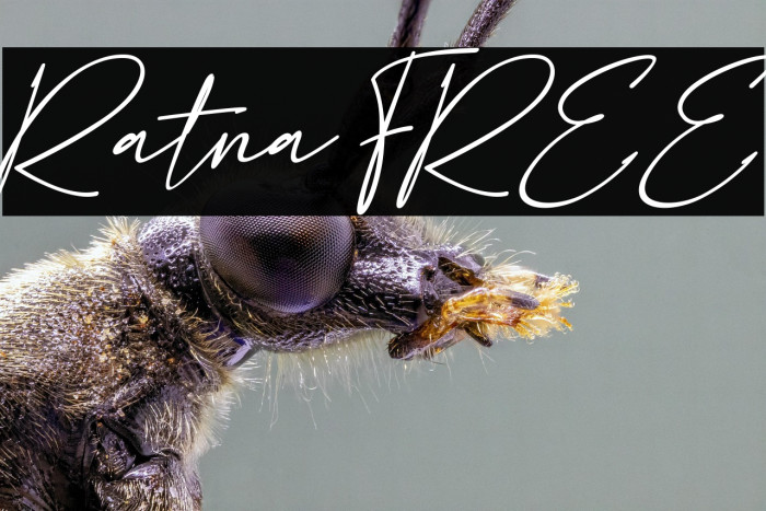 Ratna FREE Example 2