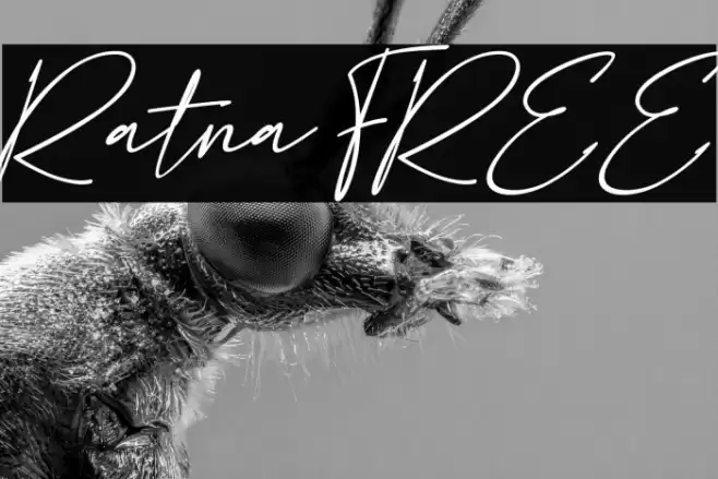 Ratna FREE Font examples