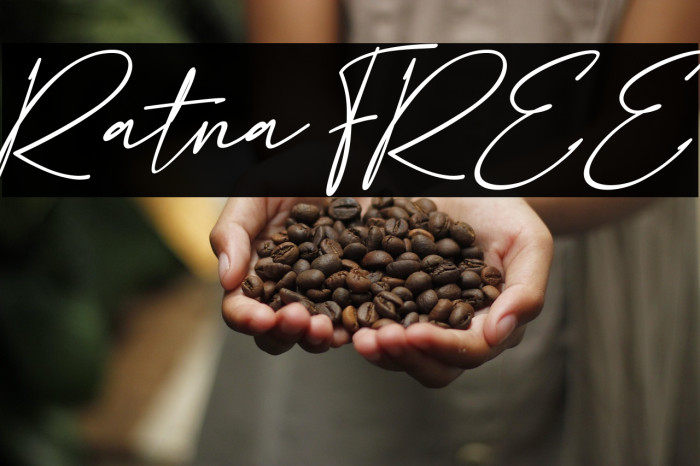 Ratna FREE Example 3