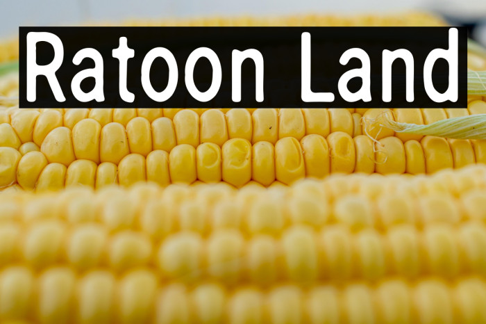 Ratoon Land Example 3