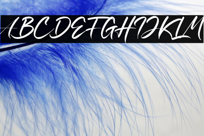 Ratri Volutten Example 1