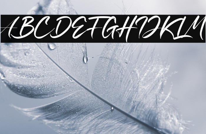 Ratri Volutten Example 3