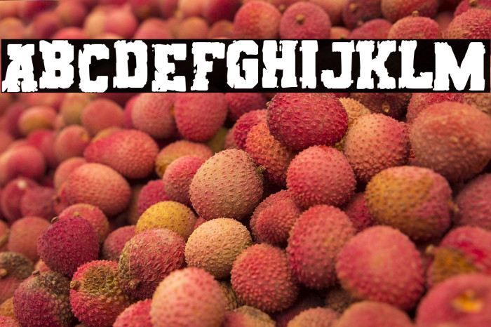 Rats College Example 1