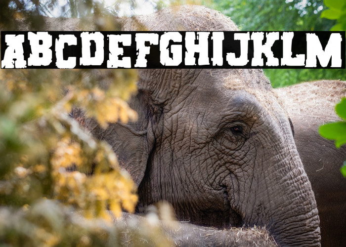 Rats College Example 2