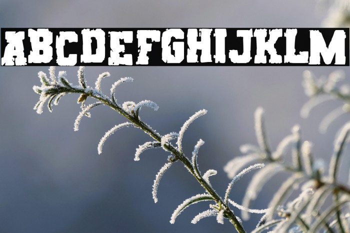 Rats College Example 3