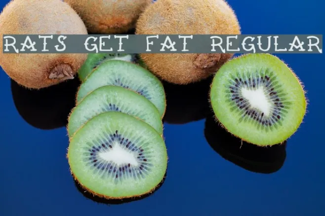 Rats Get Fat Regular Example 2