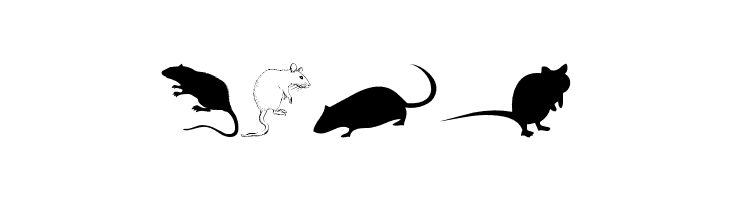 Rats  免费字体下载