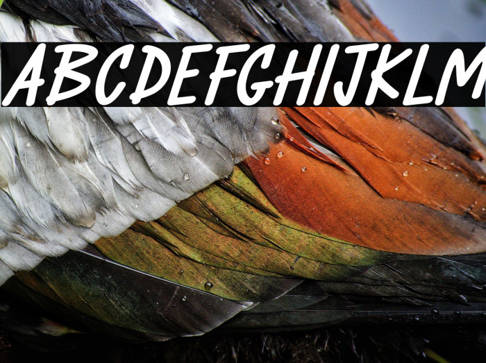 RattaeFREE Example 3