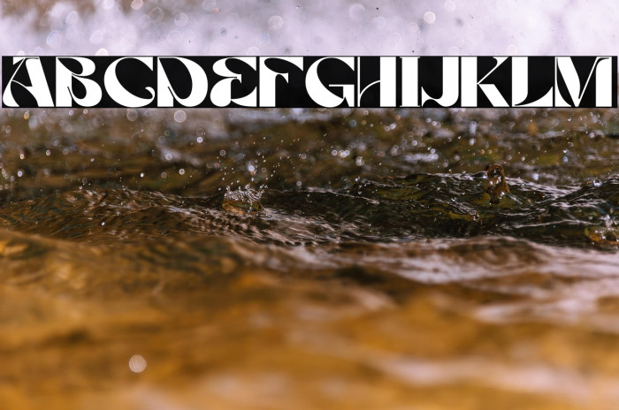 Rattani Demo Example 2