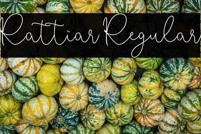 Rattiar Regular Example 1