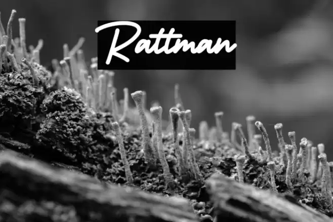 Rattman Font examples