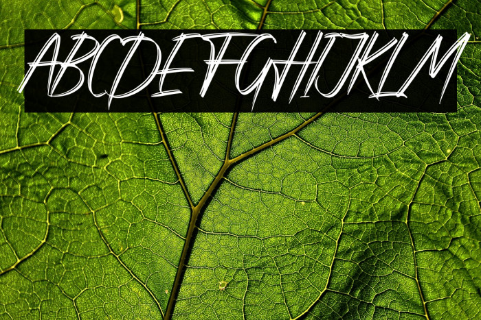 Rattnugidari Example 1