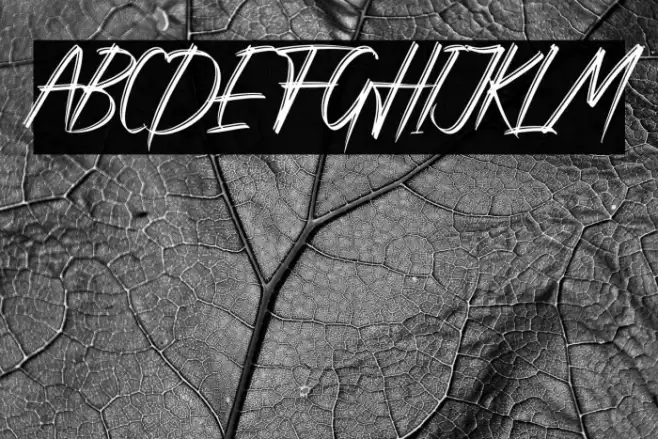 Rattnugidari Font examples