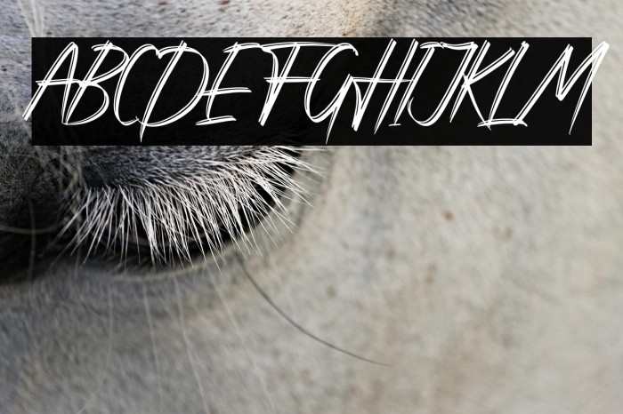 Rattnugidari Example 2