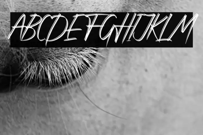 Rattnugidari Font examples