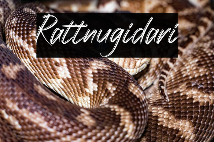 Rattnugidari Example 2