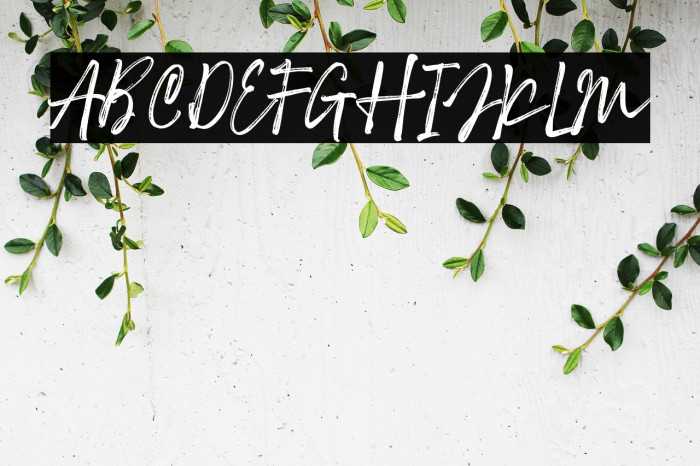 RattuAqilla Example 1