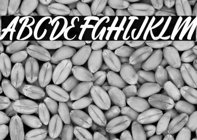 Ratyadu Font examples