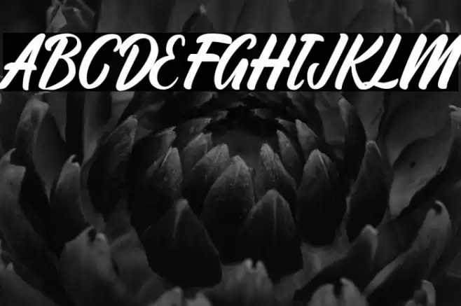 Ratyadu Font examples