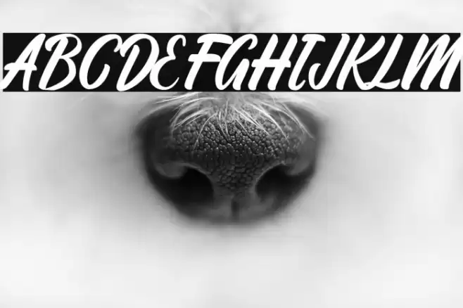 Ratyadu Font examples