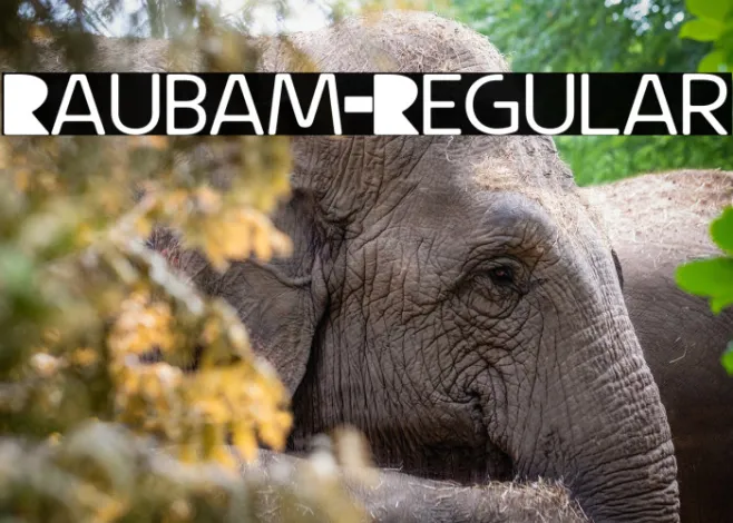 Raubam-Regular Example 1