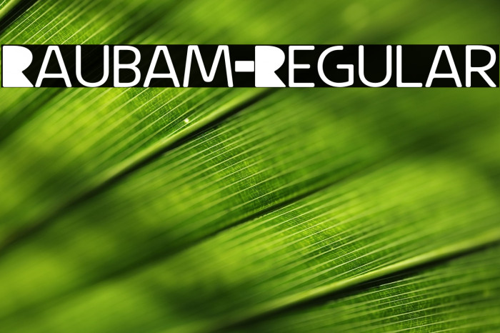 Raubam-Regular Example 3