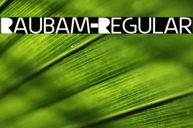 Raubam-Regular Example 3
