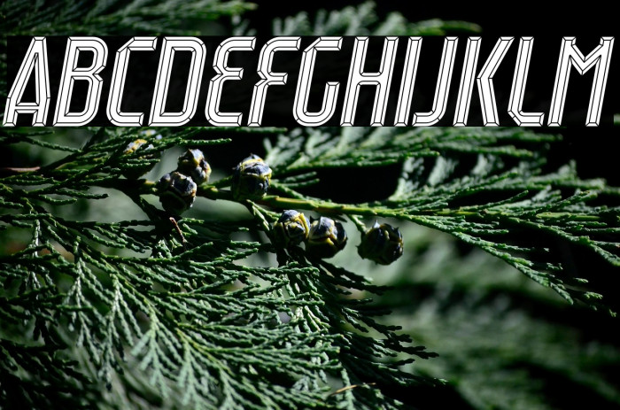 Raumdeuter Diamond Italic Example 2