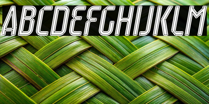 Raumdeuter Diamond Italic Example 3