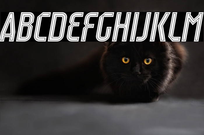 Raumdeuter Inline Italic Example 2