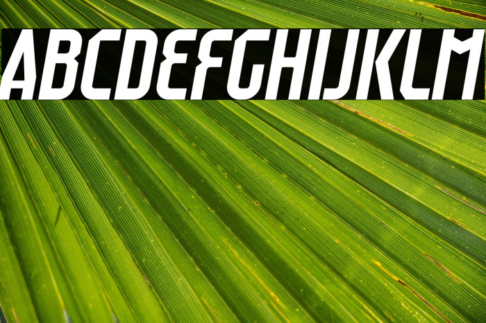 Raumdeuter Italic Example 2