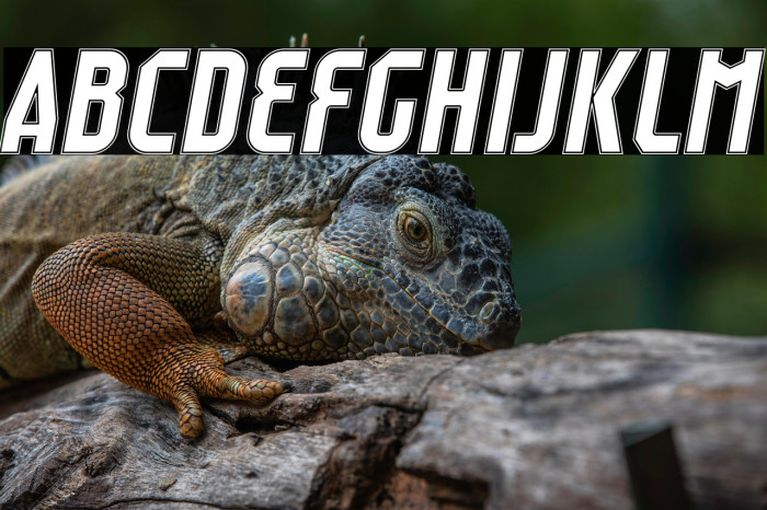 Raumdeuter Outline Italic Example 1