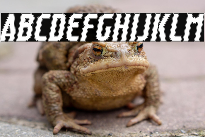 Raumdeuter Outline Italic Example 2