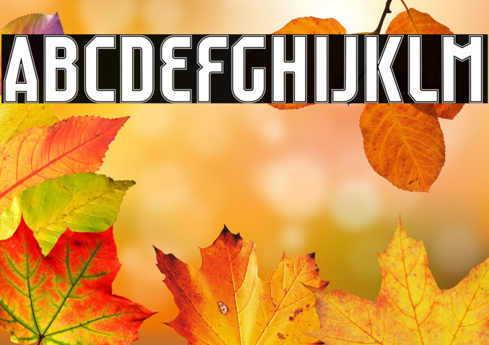 Raumdeuter Outline Personal Example 1