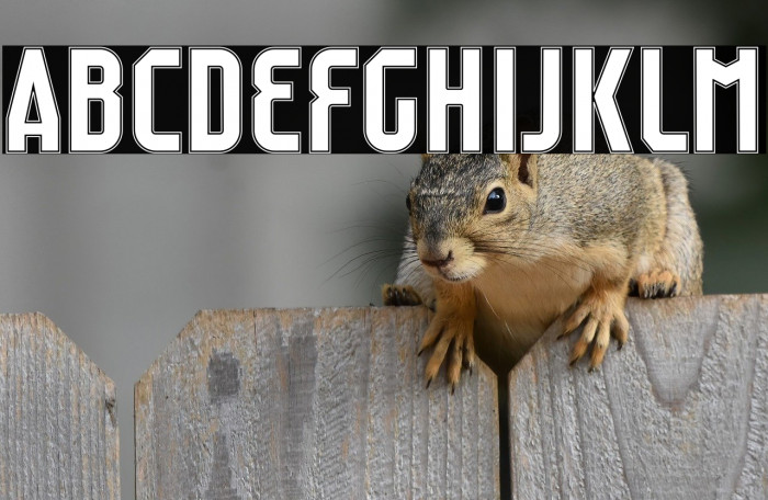 Raumdeuter Outline Personal Example 2