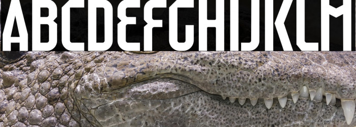 Raumdeuter Regular Personal Example 1