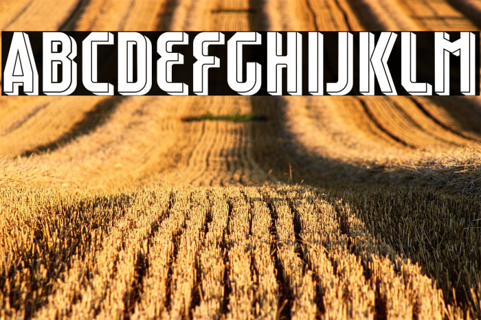 Raumdeuter Shadow Personal Example 2