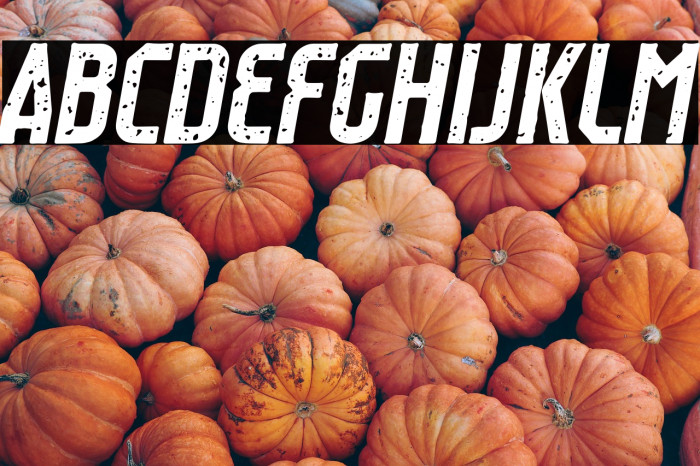 Raumdeuter Stamp Italic Example 3