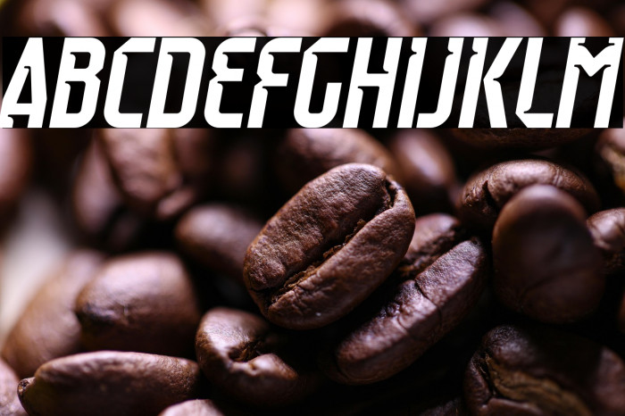 Raumdeuter Style 1 Italic Example 2