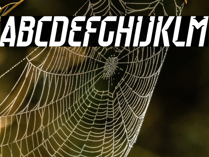 Raumdeuter Style 1 Italic Example 3