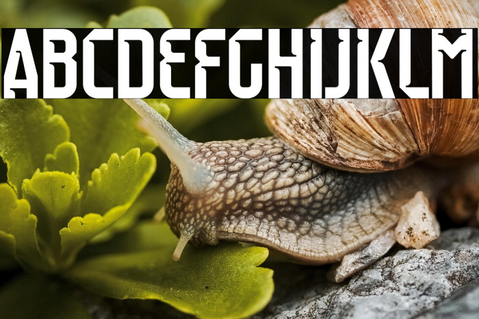 Raumdeuter Style 1 Personal Example 3