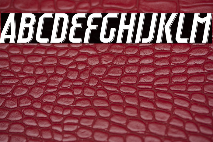 Raumdeuter Style 2 Italic Example 3